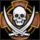 File:CaptureMedalVI.png
