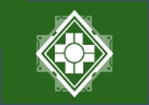 File:RepairDronesMedium Icon.png