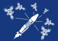 Thumbnail for version as of 12:00, 28 January 2022