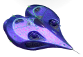 Thumbnail for version as of 16:20, 11 February 2026