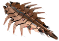 Thumbnail for version as of 08:50, 17 July 2019