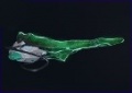 Thumbnail for version as of 14:32, 18 April 2019