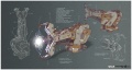 Thumbnail for version as of 10:27, 20 July 2023